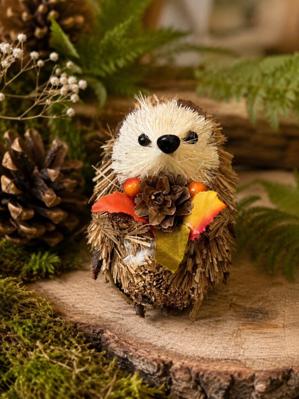 Ashland hedgehog ornament NWT